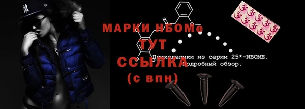 гидропоника Богданович