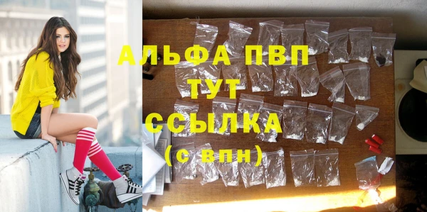 трава Богородицк