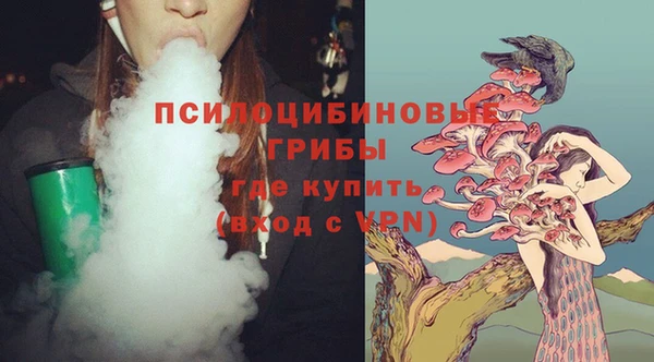 гидропоника Богданович