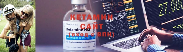 трава Богородицк